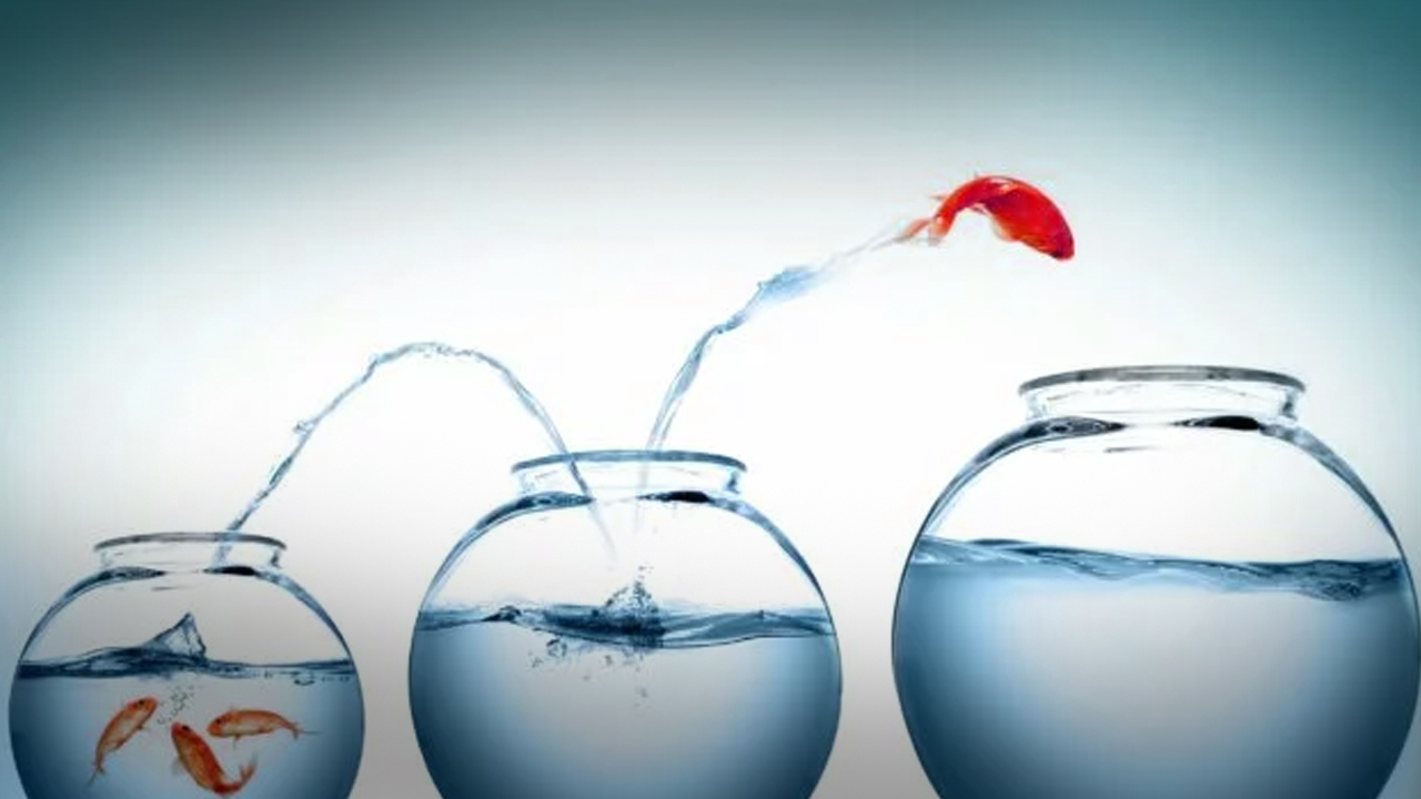 Scaling up – work spaces that grow with you