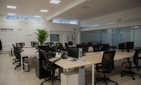 Seeds Hub, Wembley